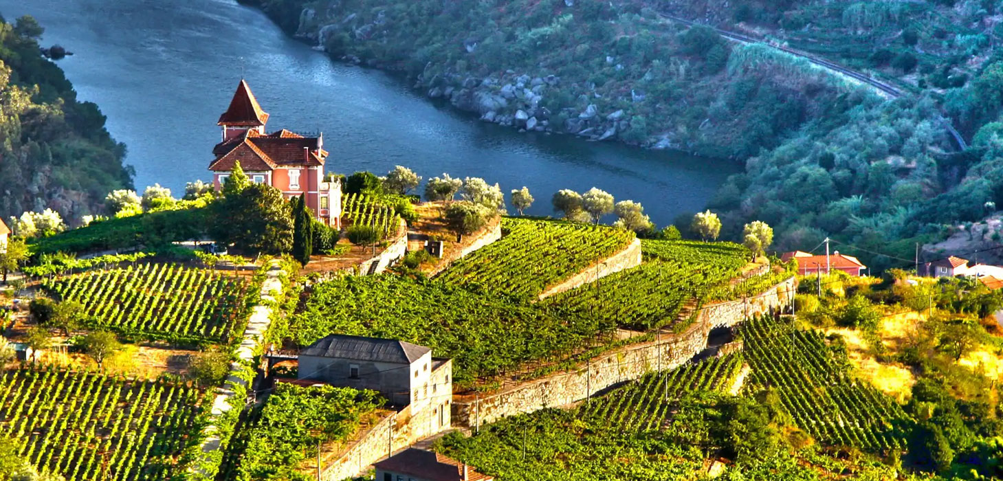 Enticing Douro River Cruise aboard the AmaDouro